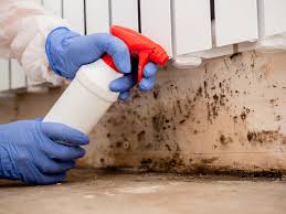 Mold Remediation for Vacation Homes in Onset, MA